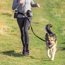 Hands Free Jogging Belt & Lead