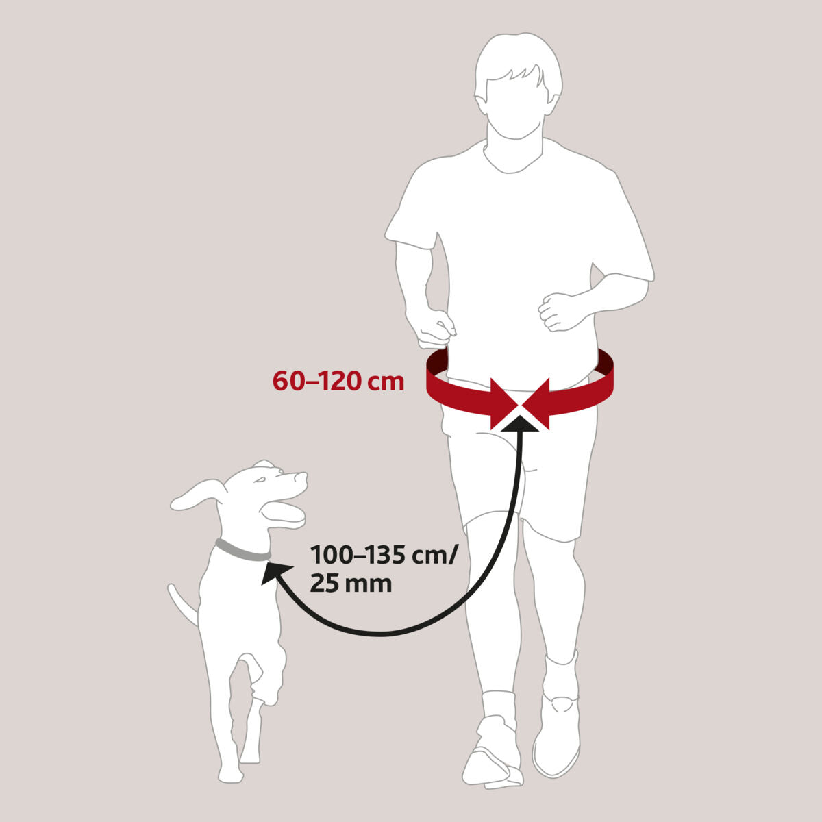 Hands Free Jogging Belt & Lead