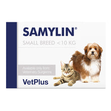 Samylin Liver Supplement Cats and Small Breed Dogs - 30 Tablets