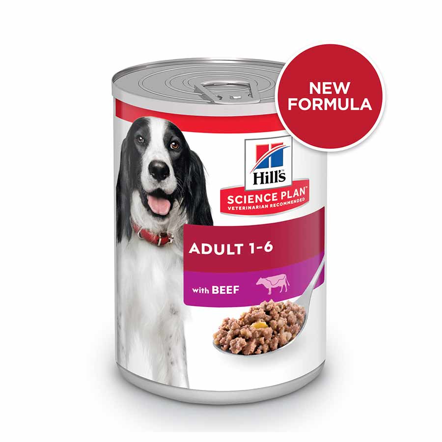 Hills Science Plan Adult Wet Dog Food - Beef - 12x370g Cans