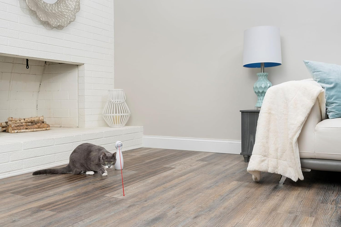 PetSafe BOLT Automatic Laser Light