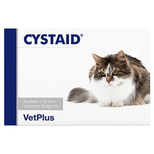 Cystaid Cat - 180 Capsules
