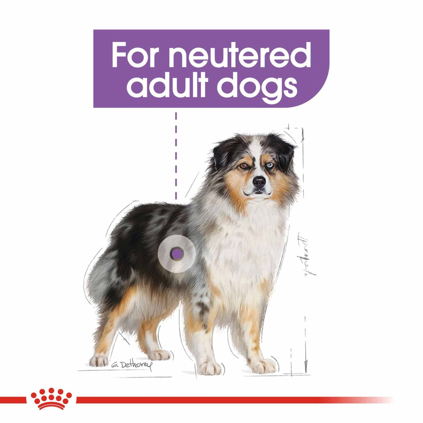 Royal Canin Size Health Nutrition Medium Sterilised Care Adult Dry Dog Food