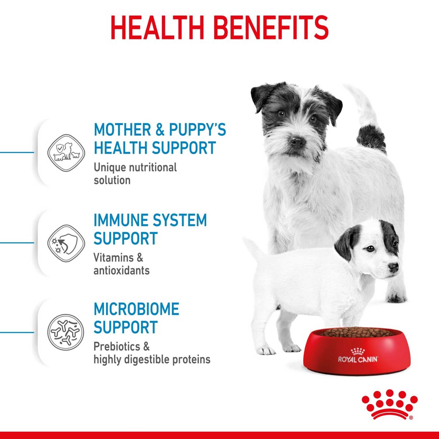 Royal Canin Size Health Nutrition Mini Starter Mother and Baby Puppy Dry Dog Food