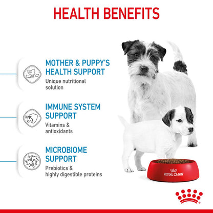 Royal Canin Size Health Nutrition Mini Starter Mother and Baby Puppy Dry Dog Food