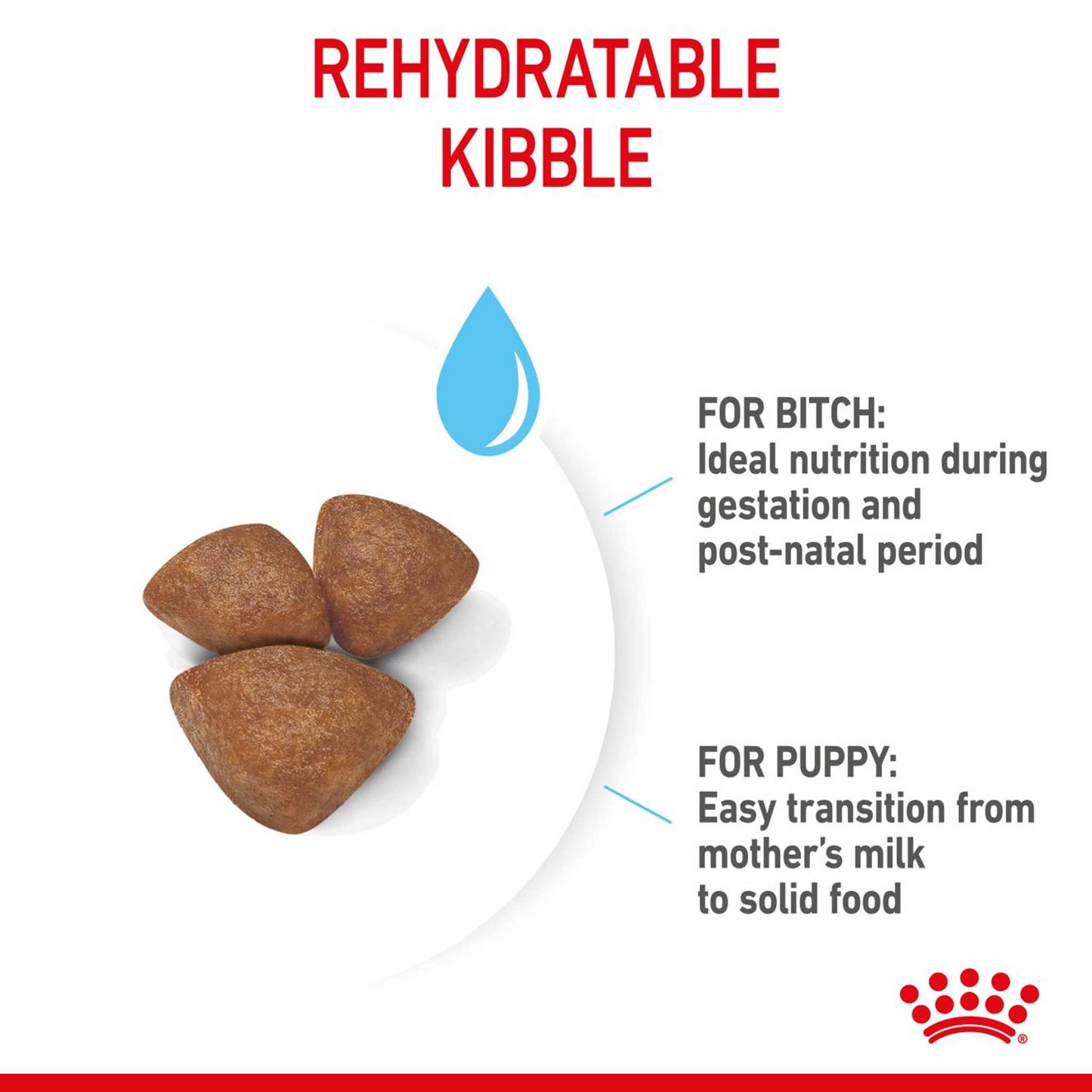 Royal Canin Size Health Nutrition Mini Starter Mother and Baby Puppy Dry Dog Food