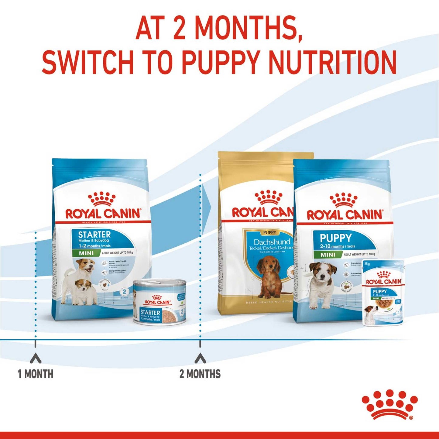 Royal Canin Size Health Nutrition Mini Starter Mother and Baby Puppy Dry Dog Food
