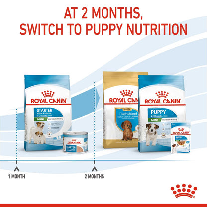 Royal Canin Size Health Nutrition Mini Starter Mother and Baby Puppy Dry Dog Food