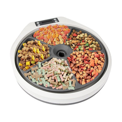5 Meal Automatic Pet Feeder by Petplanet