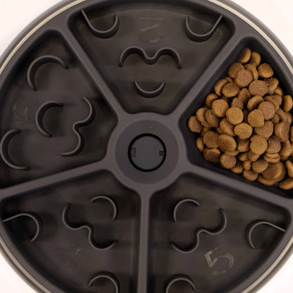 5 Meal Automatic Pet Feeder by Petplanet