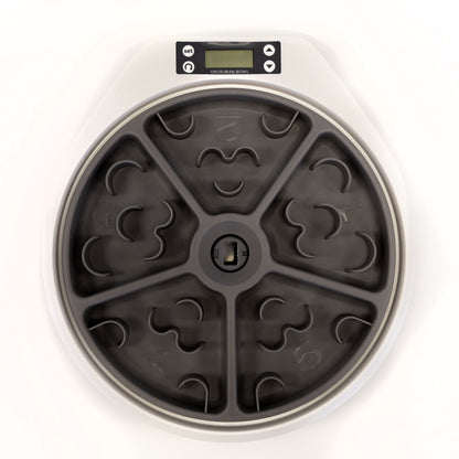 5 Meal Automatic Pet Feeder by Petplanet
