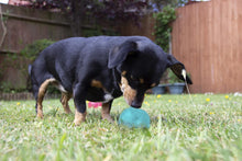 Rosewood Biosafe Puppy Treat Dispensing Toy - Blue - Ball