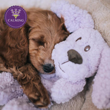 Rosewood Aromadog Calm Fleece Dog Toy - Dog