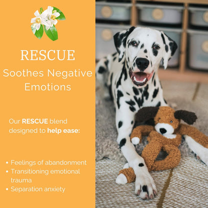 Rosewood Aromadog Rescue Stuffingless Dog Security Blanket