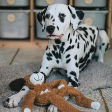 Rosewood Aromadog Rescue Flattie Dog Toy