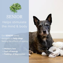 Rosewood Aromadog Senior Fleece Blankie Body Dog Toy