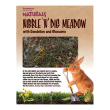 Rosewood Naturals Nibble N Dig Meadow Small Pet Treat