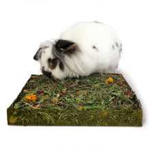 Rosewood Naturals Nibble N Dig Meadow Small Pet Treat