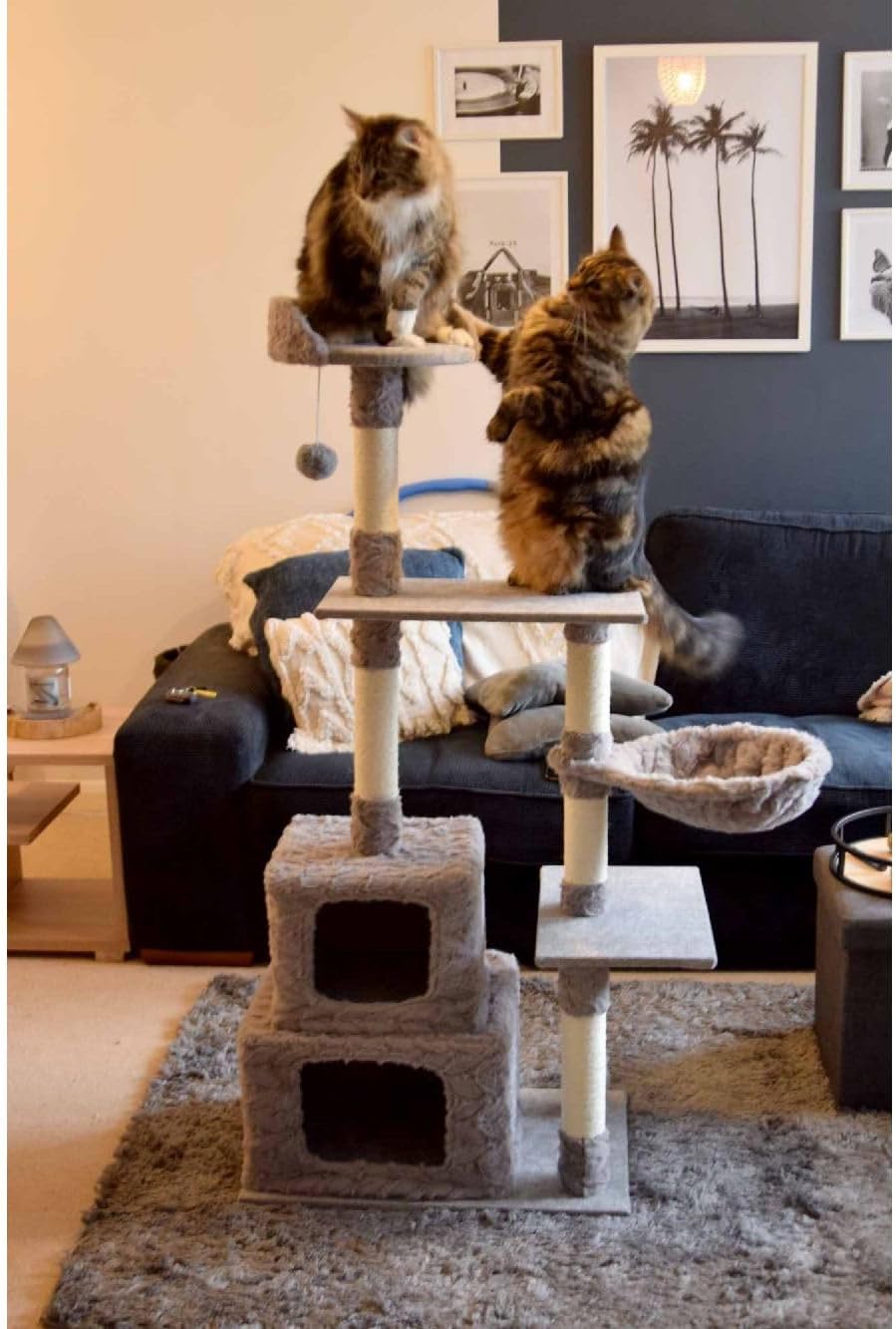 Purrshire Cosy Cat Activity Centre