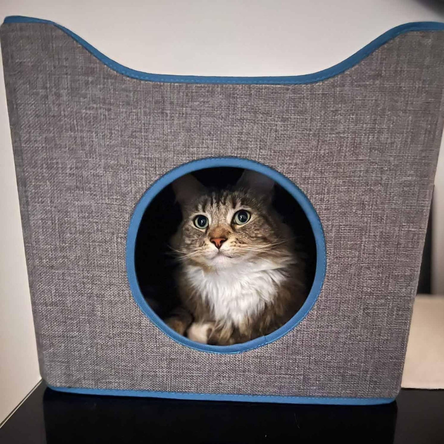 Purrshire Foldable Cat Condo