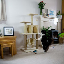 Purrshire Hammock Cat Activity Centre