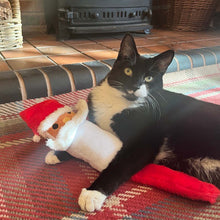 Rosewood Cupid & Comet Scott Santa Cat Toy