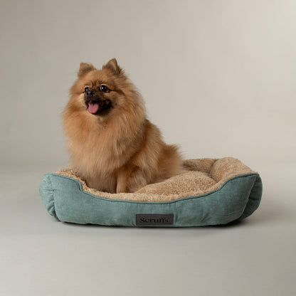Scruffs Cosy Soft-Walled Dog Bed - Sage Green
