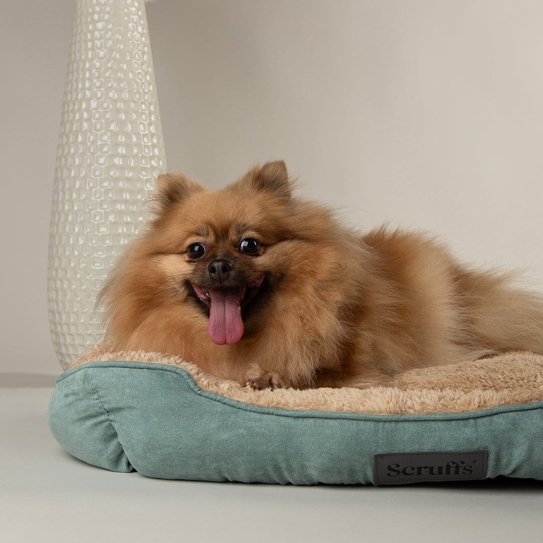 Scruffs Cosy Soft-Walled Dog Bed - Sage Green