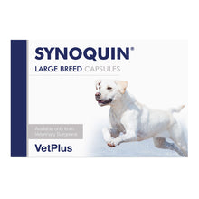 Synoquin Large Breed 120 Capsules