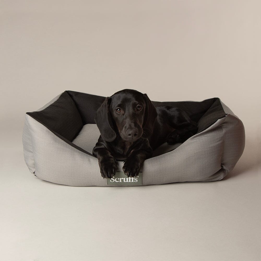 Scruffs Expedition Water Resistant Box Dog Bed - Storm Grey