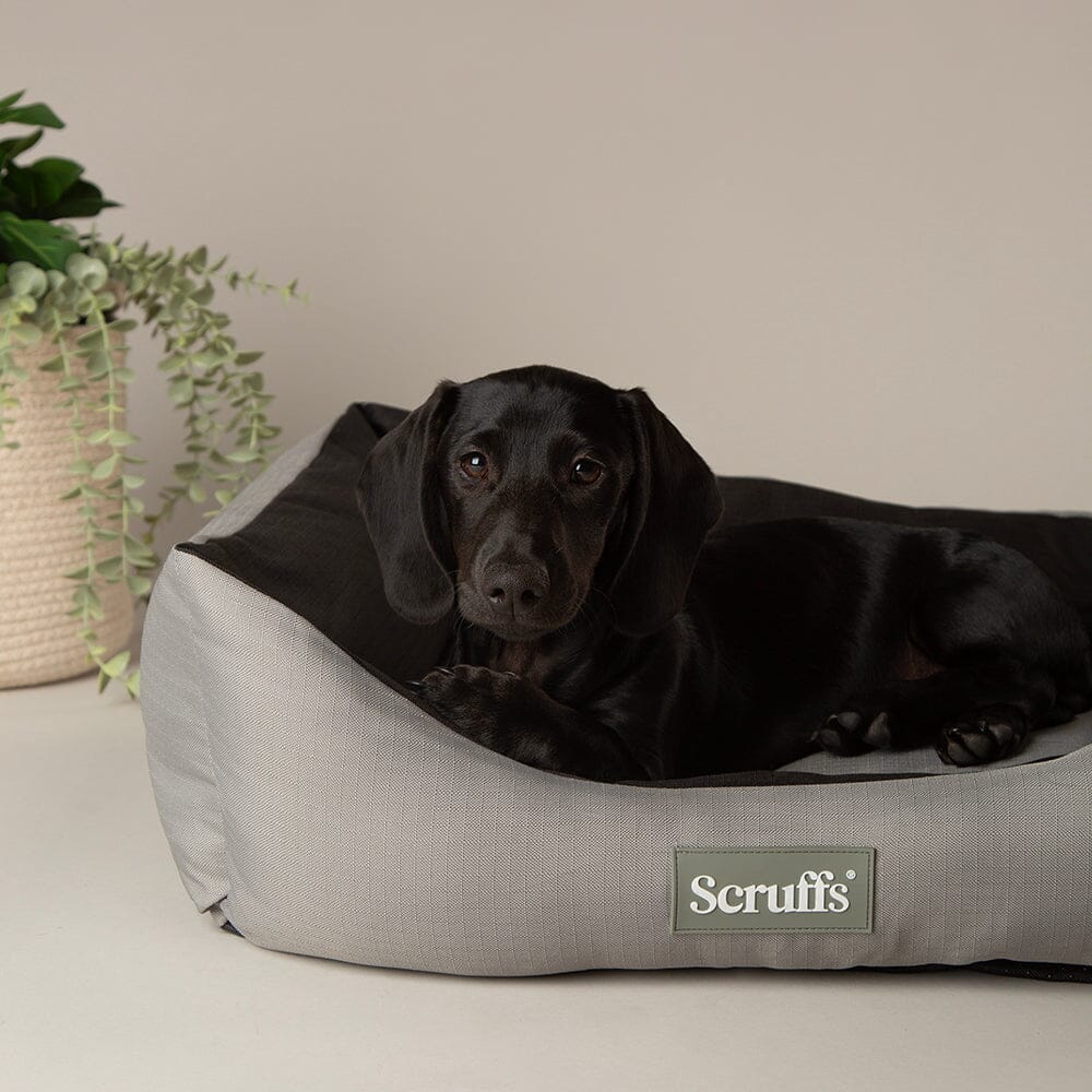 Scruffs Expedition Water Resistant Box Dog Bed - Storm Grey