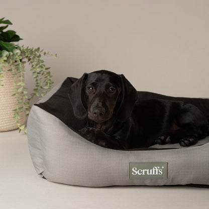 Scruffs Expedition Water Resistant Box Dog Bed - Storm Grey