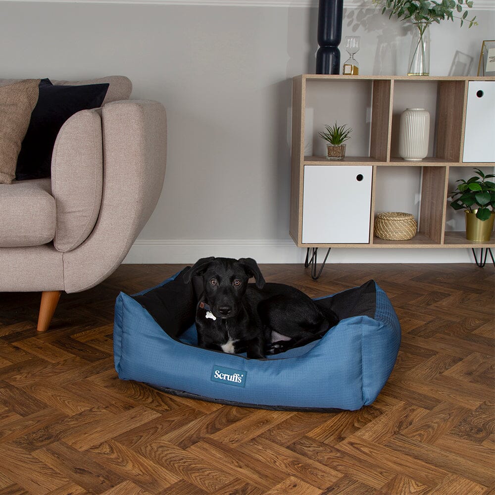 Scruffs Expedition Water Resistant Box Dog Bed - Atlantic Blue