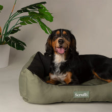 Scruffs Expedition Water Resistant Box Dog Bed - Khaki Green