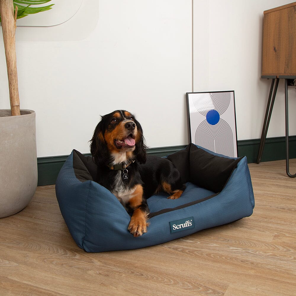 Scruffs Expedition Water Resistant Box Dog Bed - Atlantic Blue