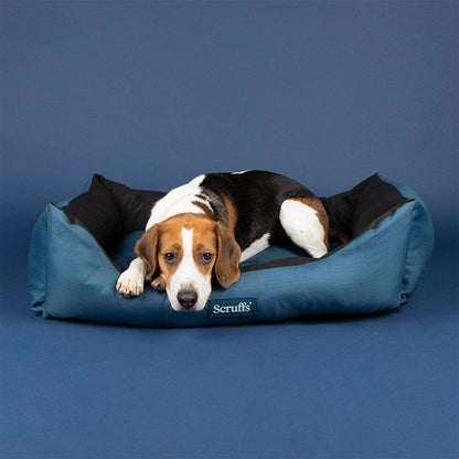 Scruffs Expedition Water Resistant Box Dog Bed - Atlantic Blue