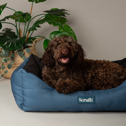 Scruffs Expedition Water Resistant Box Dog Bed - Atlantic Blue