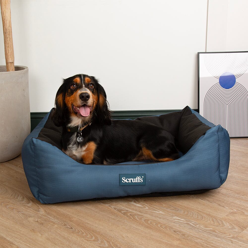Scruffs Expedition Water Resistant Box Dog Bed - Atlantic Blue