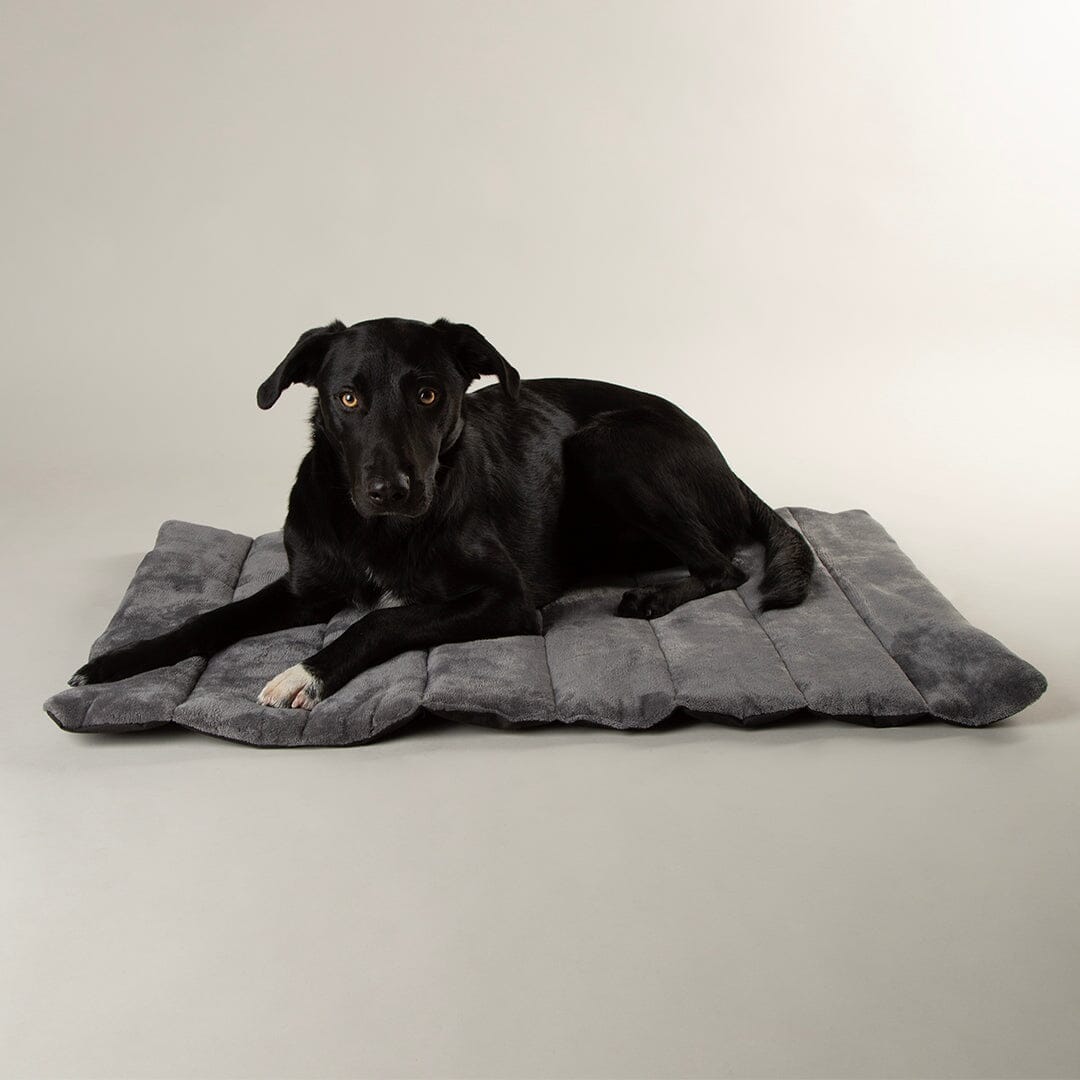 Scruffs Expedition Water Resistant Roll Up Travel Pet Bed - Khaki Green