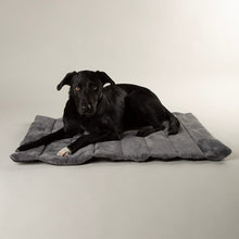 Scruffs Expedition Water Resistant Roll Up Travel Pet Bed - Khaki Green