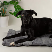 Scruffs Expedition Water Resistant Roll Up Travel Pet Bed - Khaki Green