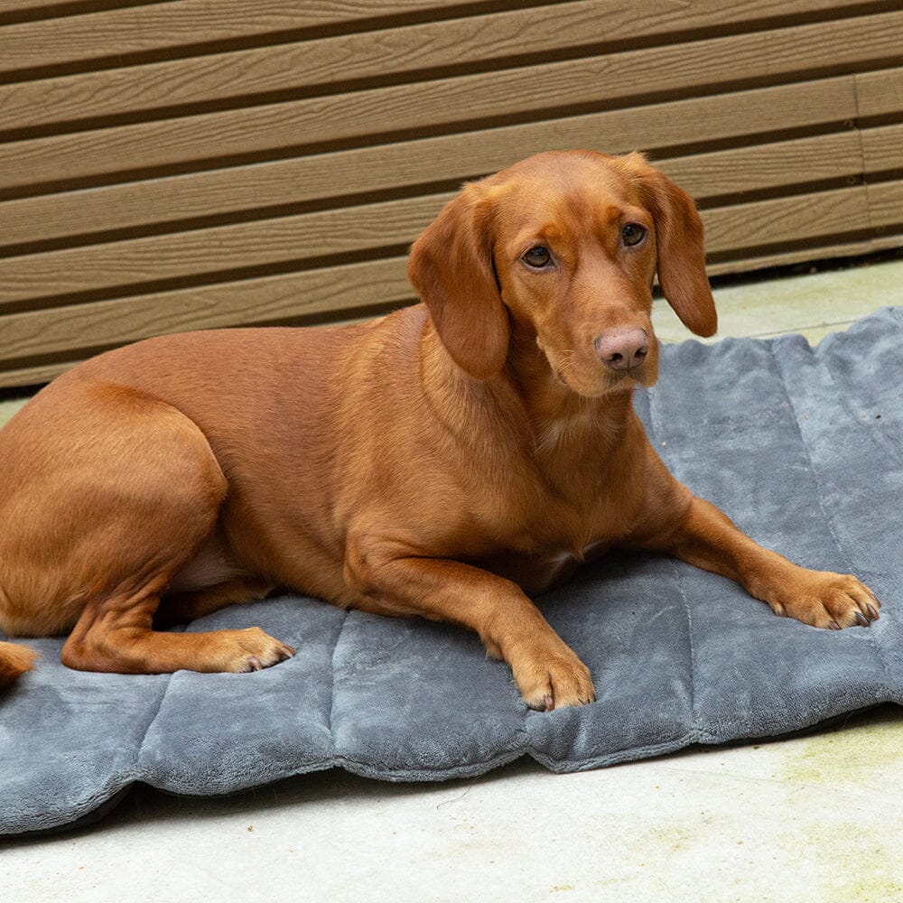 Scruffs Expedition Water Resistant Roll Up Travel Pet Bed - Khaki Green