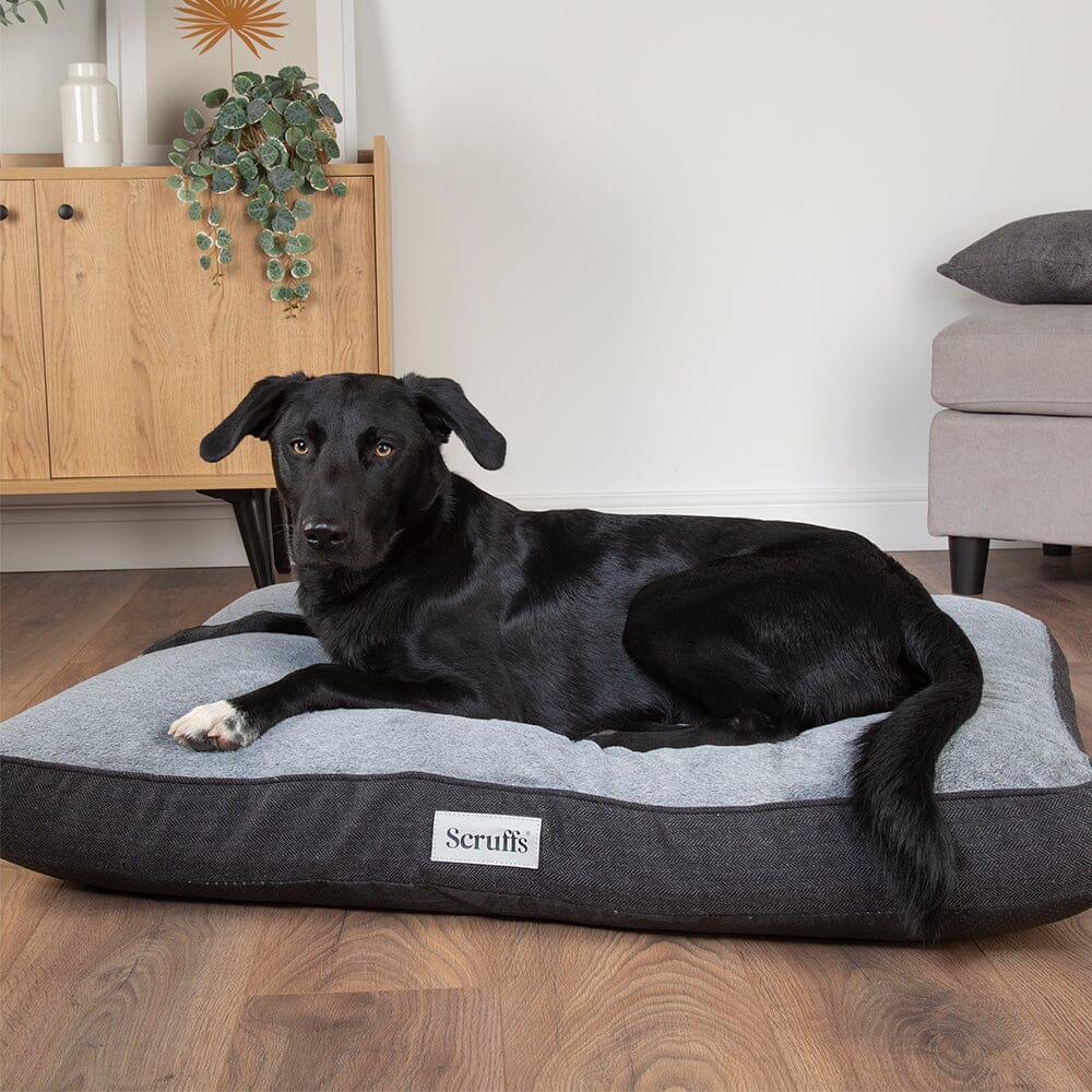 Scruffs Harvard Memory Foam Mattress Dog Bed - Graphite Grey