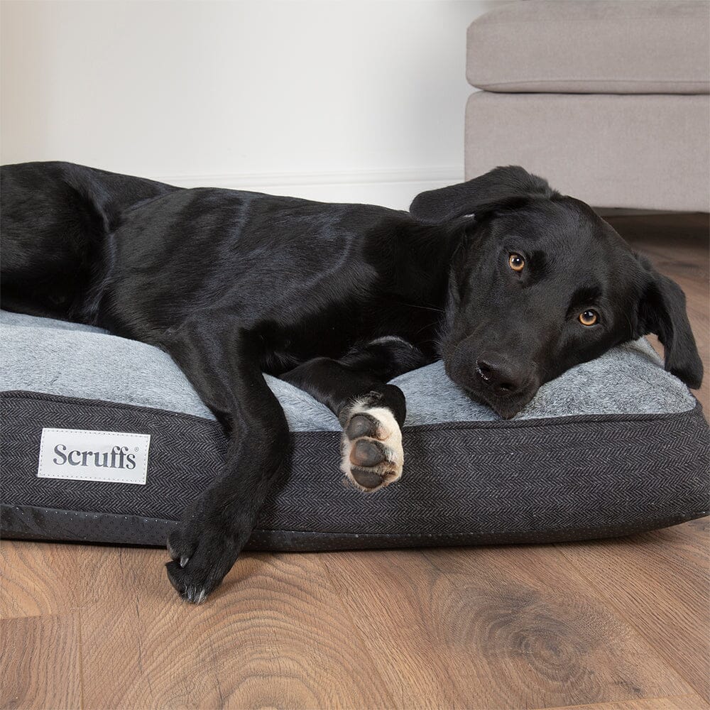 Scruffs Harvard Memory Foam Mattress Dog Bed - Graphite Grey
