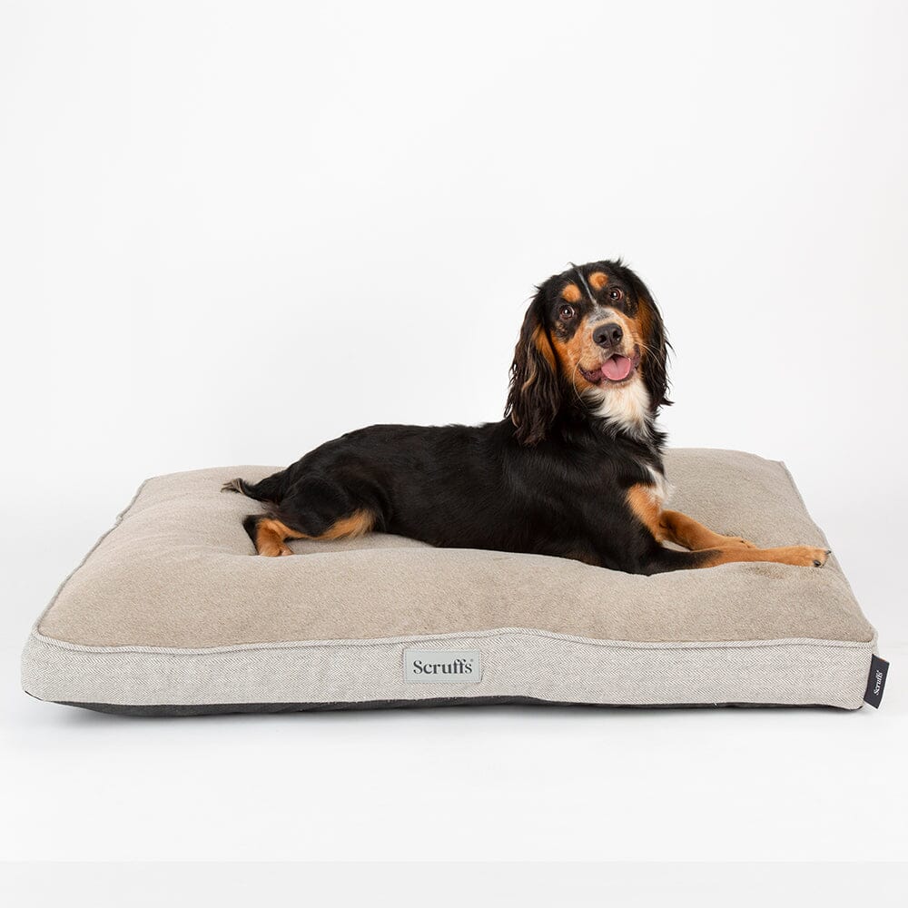 Scruffs Harvard Memory Foam Mattress Dog Bed - Pearl Grey