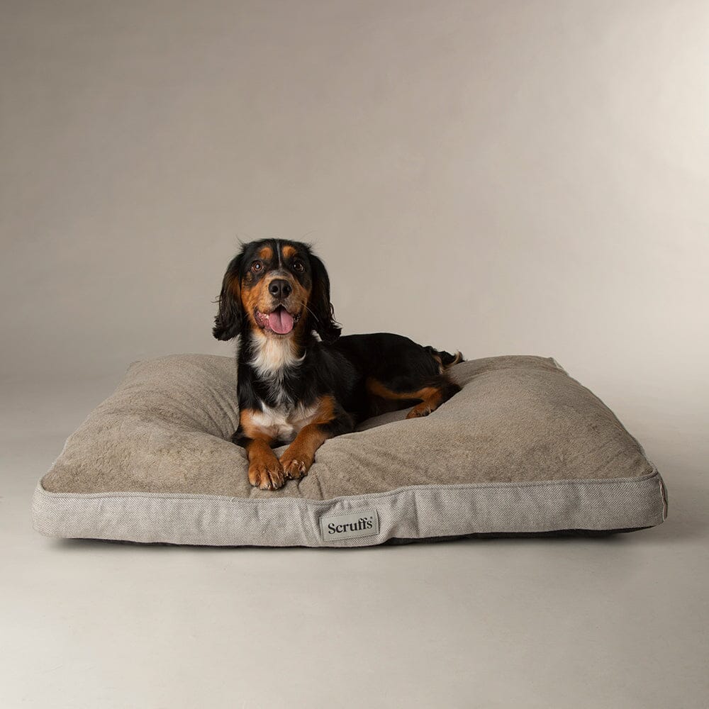 Scruffs Harvard Memory Foam Mattress Dog Bed - Pearl Grey