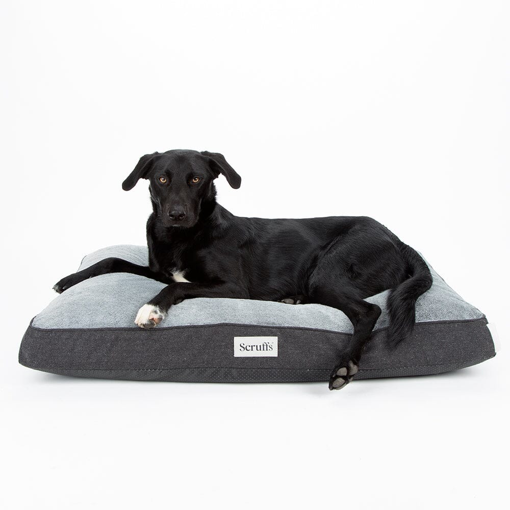 Scruffs Harvard Memory Foam Mattress Dog Bed - Graphite Grey