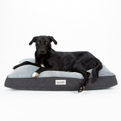 Scruffs Harvard Memory Foam Mattress Dog Bed - Graphite Grey