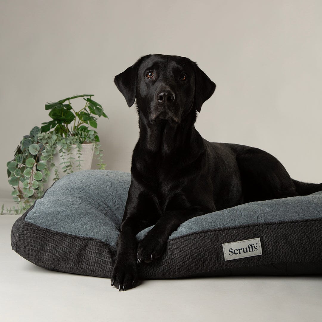 Scruffs Harvard Memory Foam Mattress Dog Bed - Graphite Grey