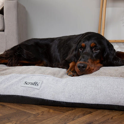 Scruffs Harvard Memory Foam Mattress Dog Bed - Pearl Grey